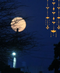 Kojagiri Night